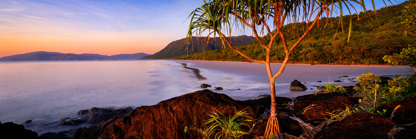 Daintree