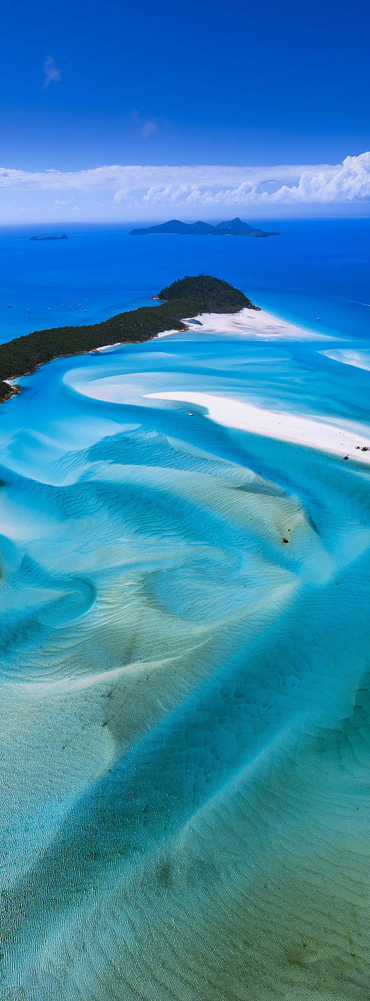 Oceanic Symphony
