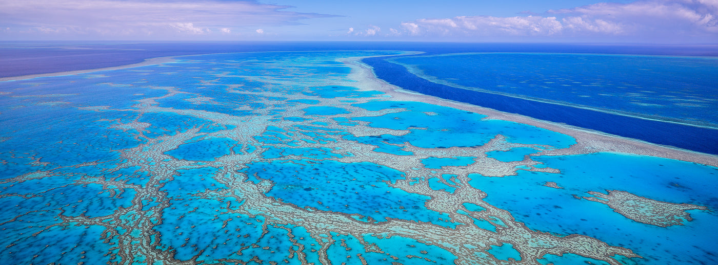 Reef Magic